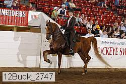 12buck_2747 proof