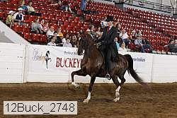 12buck_2748 proof