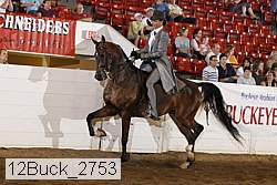 12buck_2753 proof