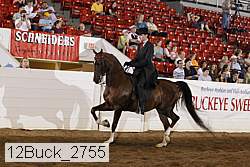 12buck_2755 proof