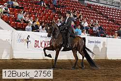 12buck_2756 proof