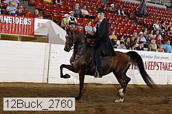12buck_2760 proof