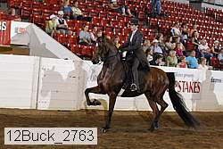 12buck_2763 proof