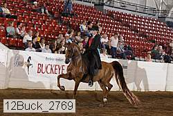 12buck_2769 proof