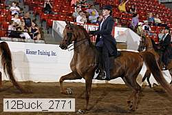 12buck_2771 proof