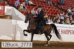 12buck_2773 proof