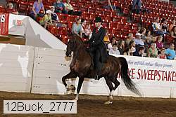 12buck_2777 proof