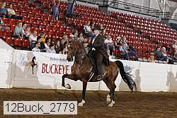 12buck_2779 proof