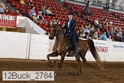 12buck_2784 proof