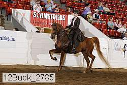 12buck_2785 proof