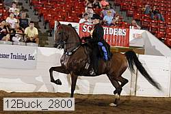 12buck_2800 proof