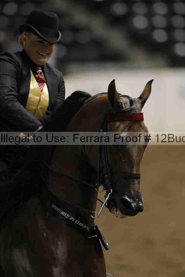 Proof 12buck_2805
