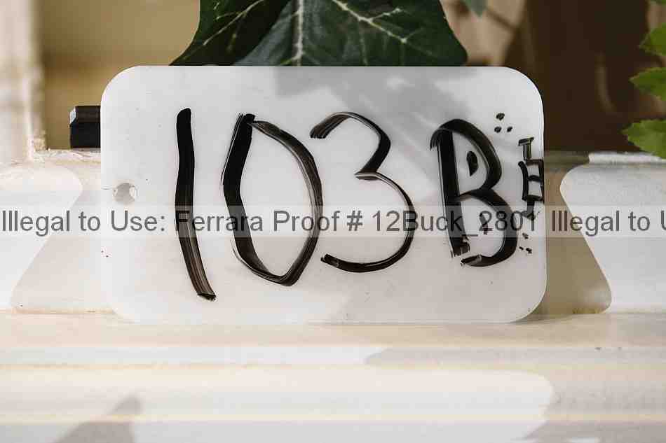 Proof 12buck_2801