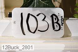 12buck_2801 proof