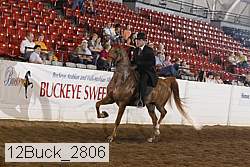 12buck_2806 proof