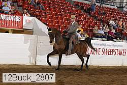 12buck_2807 proof