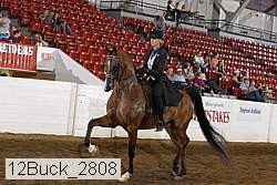 12buck_2808 proof