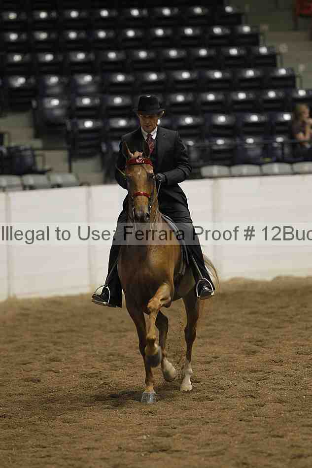 Proof 12buck_2809