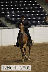 12buck_2809 proof