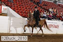 12buck_2810 proof