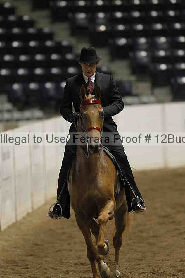 Proof 12buck_2811