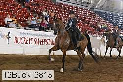 12buck_2813 proof