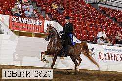 12buck_2820 proof
