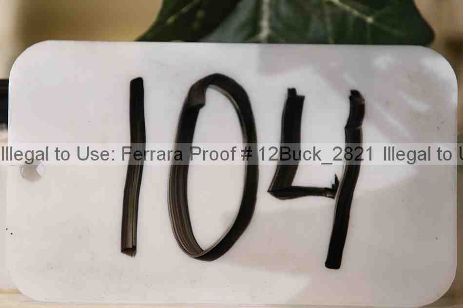 Proof 12buck_2821