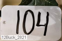 12buck_2821 proof