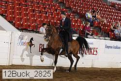 12buck_2825 proof