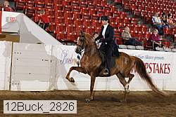 12buck_2826 proof