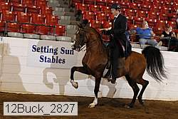 12buck_2827 proof