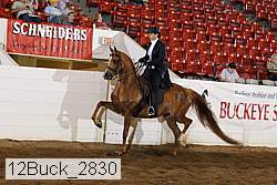 12buck_2830 proof