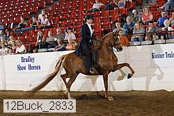 12buck_2833 proof
