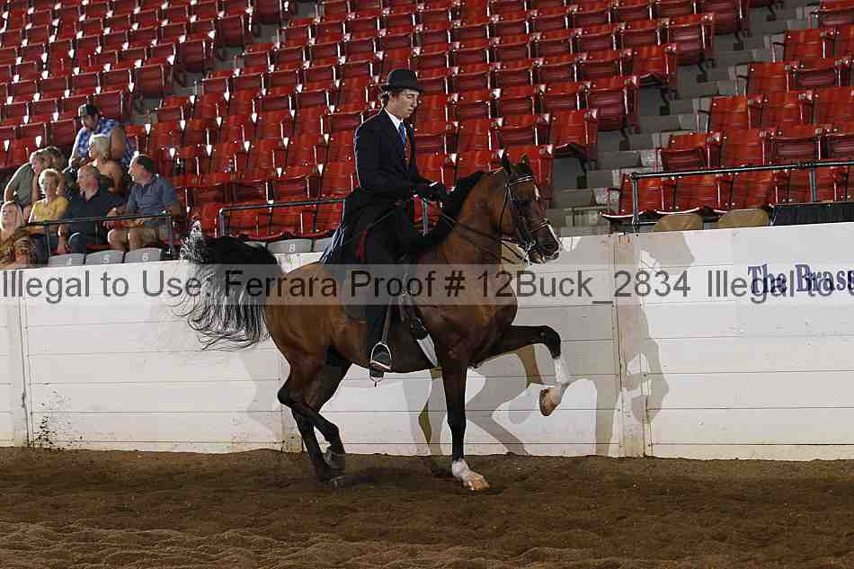 Proof 12buck_2834