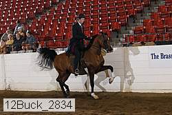 12buck_2834 proof