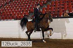 12buck_2835 proof