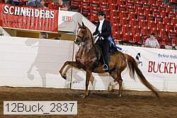 12buck_2837 proof