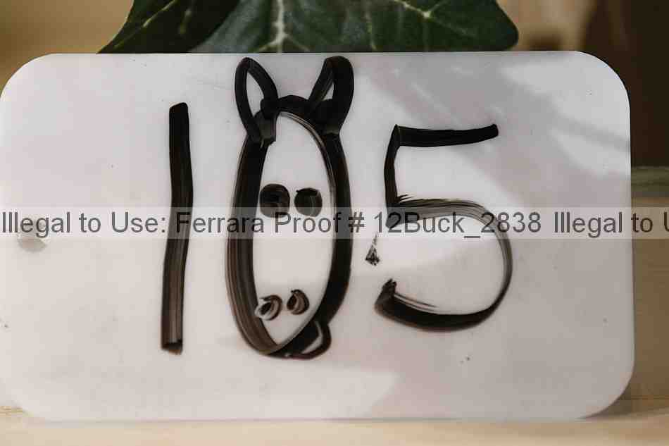 Proof 12buck_2838