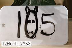 12buck_2838 proof