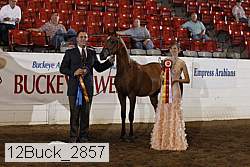 12buck_2857 proof