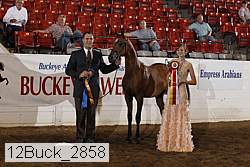 12buck_2858 proof