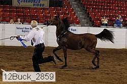 12buck_2859 proof