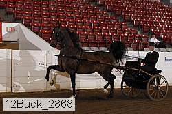 12buck_2868 proof