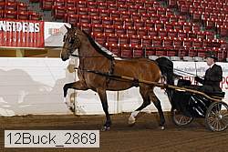 12buck_2869 proof