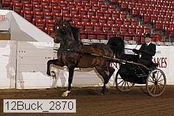 12buck_2870 proof
