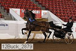 12buck_2879 proof