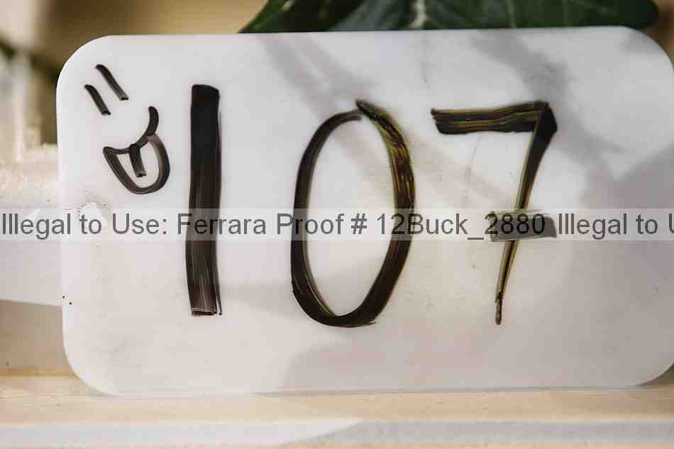 Proof 12buck_2880
