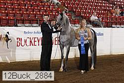 12buck_2884 proof