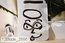 12buck_2886 proof